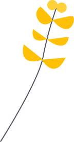 small-monitor